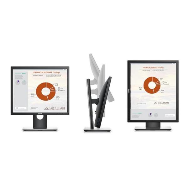 Dell Technologies DELL 19 MONITOR - P1917S